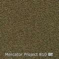 /products/mercator-project-econyl-810/